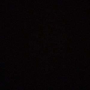 Meet your Posher, BrontÃ«